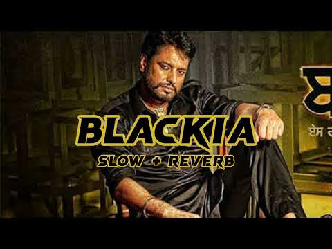 BLACKIA Slow + Reverb || Zaviyar Studio || Dev Kharoud Song || Blackia movie song ||