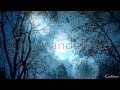 Insomnium-Lose To Night (Lyrics on Video) HD ...