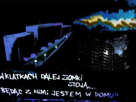 Gracz - z prawdy treści |MIXTAPE CHAŁAS NA OSIEDLU|