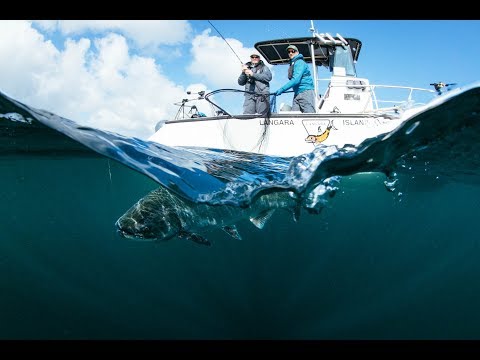 Fishing BC Presents: Seeking Salmon off the far corner of Haida Gwaii