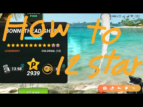 YouTube video about: How to catch 12 starfish in fishing clash?