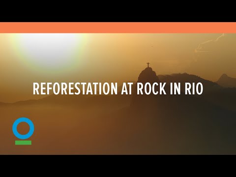 World’s Largest Tropical Reforestation Project to Take Place in the Amazon Rainforest