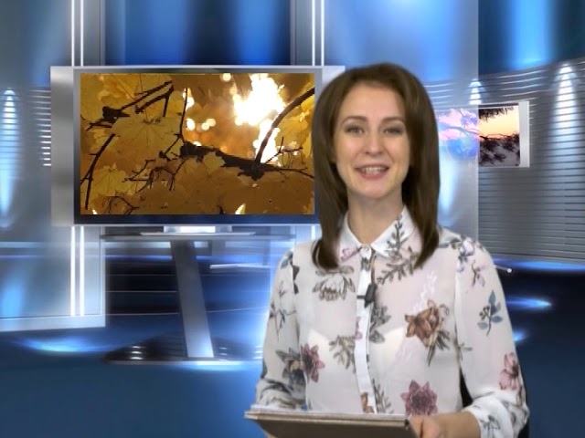 Азнакай телерадиокомпаниясе яңалыклары (эфир 11.11.2020)