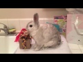 Toby S 7th Birthday Present