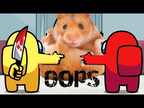Hamster Among Us MAZE 😱(The Skeld) TRAP for IMPOSTER😈