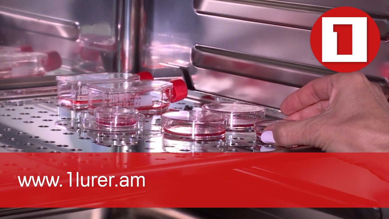 2,7 միլիարդ դրամով ավելացել է գիտության ֆինանսավորումը