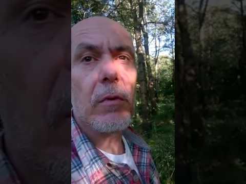 Branko Miljkovic-"Goran"