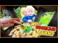 WE MAKEN EEN VOGELPARADiJS iN ONZE TUiN EN ZiJN BENiEUW WiE ER KOMT ... | Bellinga Vlog #2966