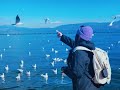 channel