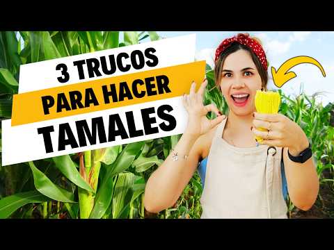 Cómo Hacer Tamales Cubanos PERFECTOS!! 3 Recetas que Tienes que Probar
