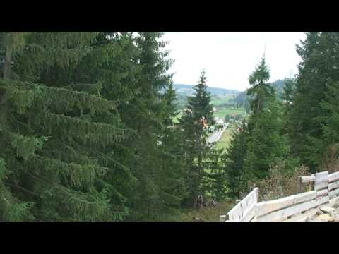 Pensiunea "POIANA-Poiana_Negri" - Pensiunea "DOR de MUNTE-Poiana_Negri"