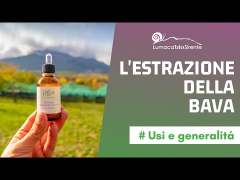 L'estrazione della bava - uso e generalità
