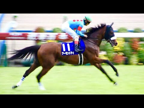 2018.10.14秋華賞G1④本馬場入場＆返し馬(アーモンドアイ牝馬三冠達成)＠京都競馬場