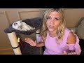 Happy International Cat Day W Kathryn Emery Home Improvement Lifestyle Expert Also Known As KAT
