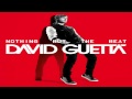David Guetta Titanium feat Mary J Blige New Song ...