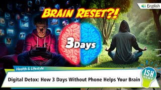 Digital Detox: How 3 Days Without Phone Helps Your Brain