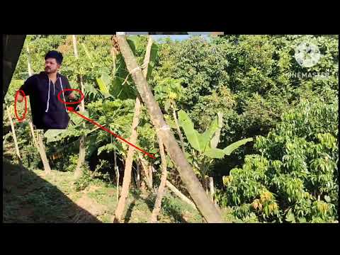 Our community Nur Kamal destroy girls #saverohingya #coversonggirld 