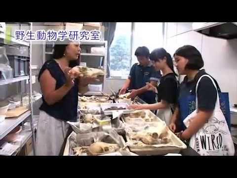 麻布大学 オープンキャンパス2015_4_研究室公開