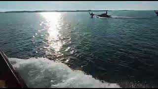 Download lagu pompong kayu laju mp3 Download lagu pompong kayu laju mp3