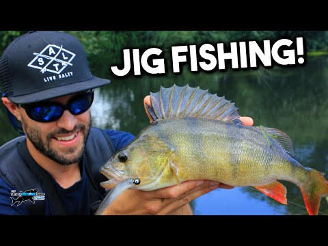Lure Fishing for Beginners - Perch on Jigs | TAFishing