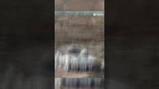 Download lagu inikah masjid yang selamat dari tsunami aceh? bantu subs pls💗👍😚😚 mp3