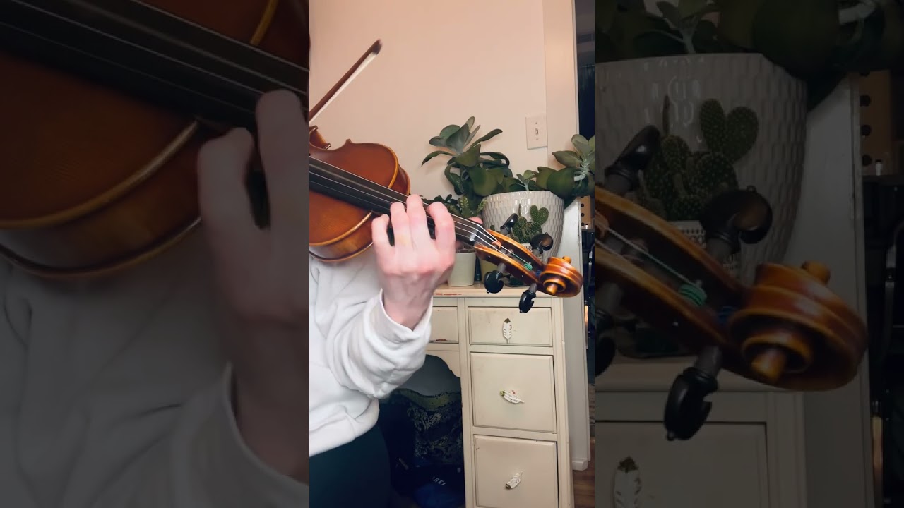 Promotional video thumbnail 2 for Metsker Violin