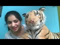 Online Preschool Classes For Kindergarten By Risha Mam Back To School Online Join Your Kid Today