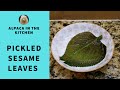 Korean Side Dish Pickled Sesame Leaves