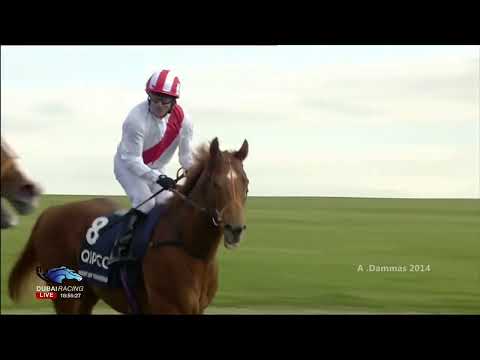 Qipco 2000 Guineas Stakes 2014- Night Of Thunder