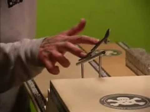 FFI RAIL JAM 07 D-Rex Insane Fingerboard Aktion