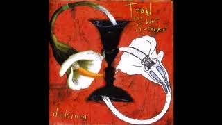 Fly From Heaven Toad The Wet Sprocket