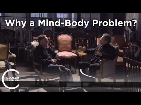 Colin McGinn - What is the Mind-Body Problem?