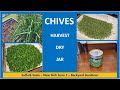 Harvesting Chives  - Harvest, dry them, Jar them up