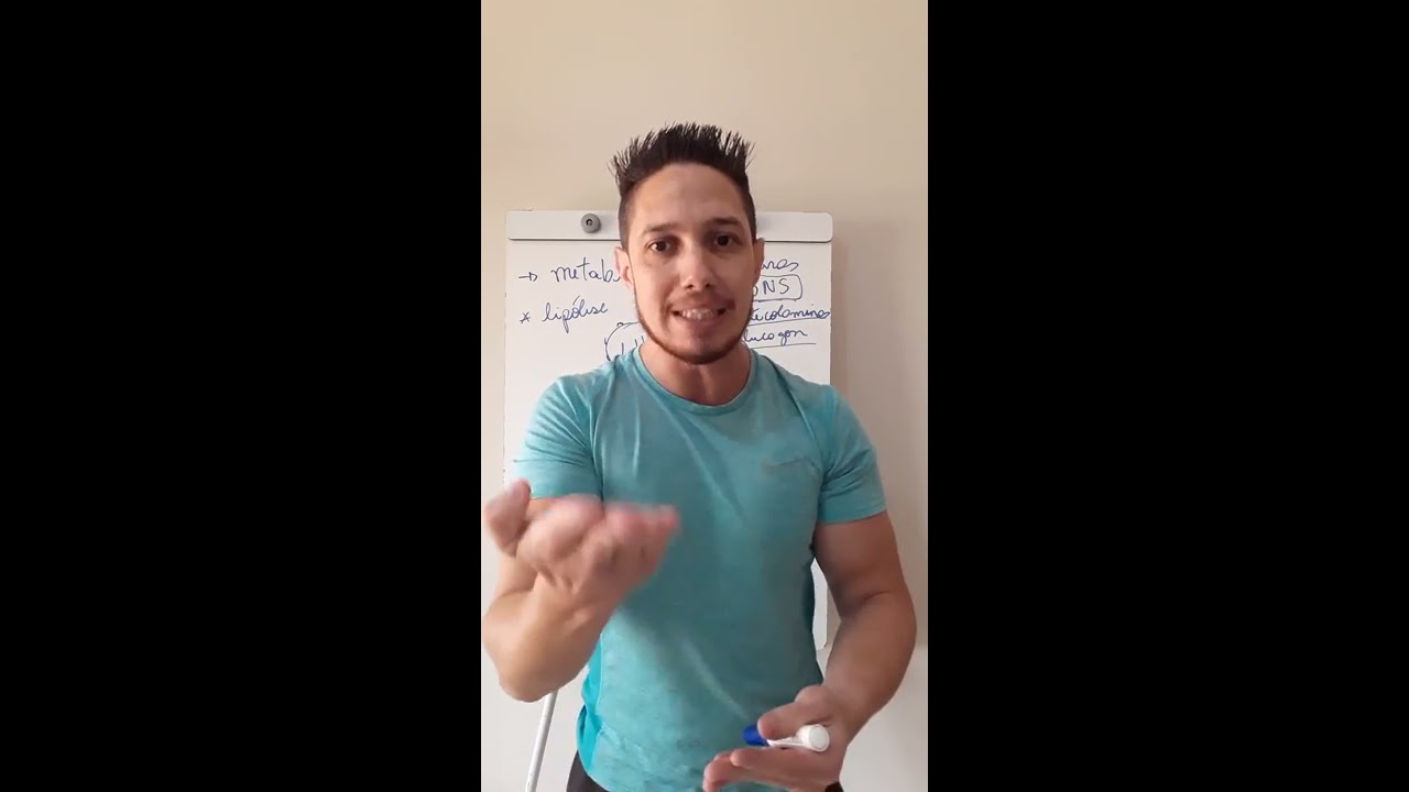 Resposta Fisiológica da Lipólise (quebra das gorduras)