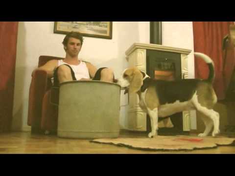 Primož Turk & Skrajneži - "S ciglom v glavo"