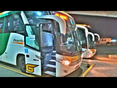 Movimento de ônibus gontijo em ouricuri Pernambuco