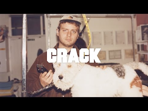 Mac DeMarco performs 'This Old Dog' at a Dog Grooming Parlour