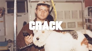 Mac DeMarco performs &#39;This Old Dog&#39; at a Dog Grooming Parlour