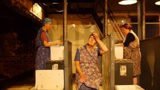 The Steamie Gallaways mince