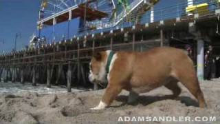 Adam Sandler & Meatball 02