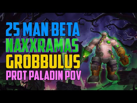 25 Man Grobbulus Prot Paladin POV - WotLK Classic Beta