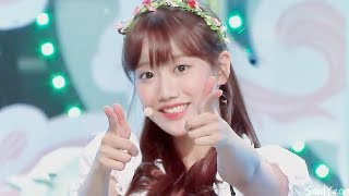 에이프릴 (April) 꿈사탕 (Dream Candy) 교차편집 (Stage Mix)