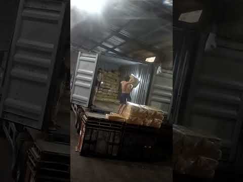 Phú Giáo OR043-1 TEMU0465174