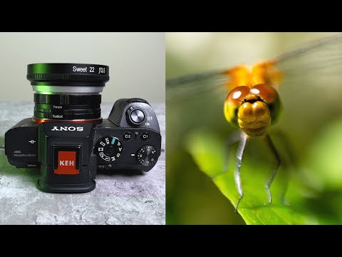 Sony E-mount Macro Extension Tube - Turn Any Sony Lens into a Macro Lens
