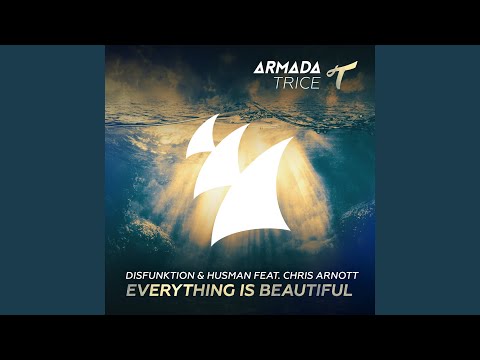 Everything Is Beautiful (Jochen Miller Remix)