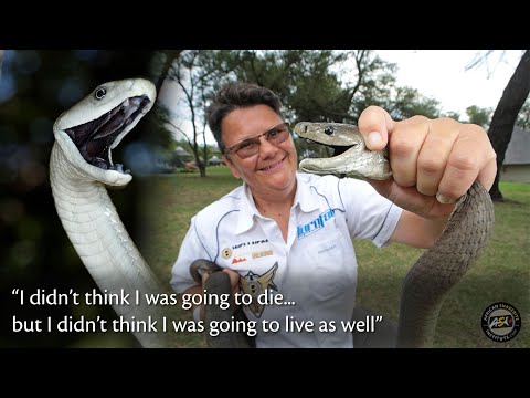 I survived - Black Mamba bite