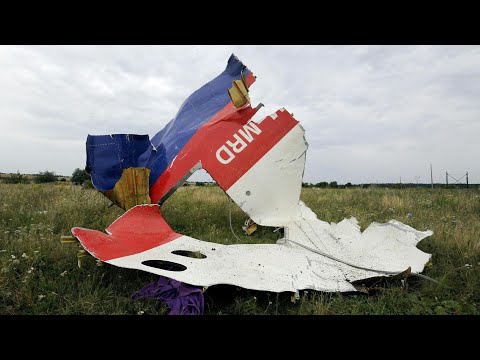 Der Abschuss von Flug MH17 | AFP