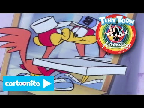 Tiny Toon Adventures | Pizza Problems | Cartoonito