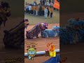 New Years Dragon Twerk