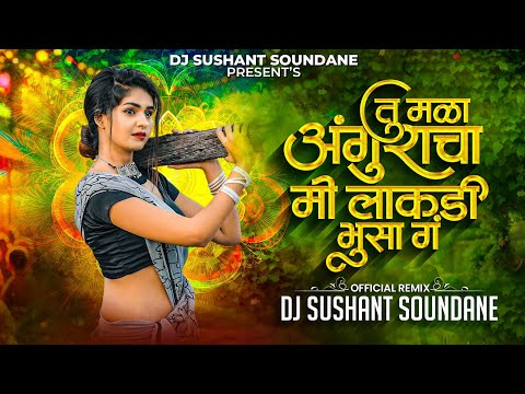 Tu Mala Anguracha Me lakdi Bhusa Ga | तु मळा अंगुराचा मी लाकडी भुसा ग | DJ Sushant Soundane